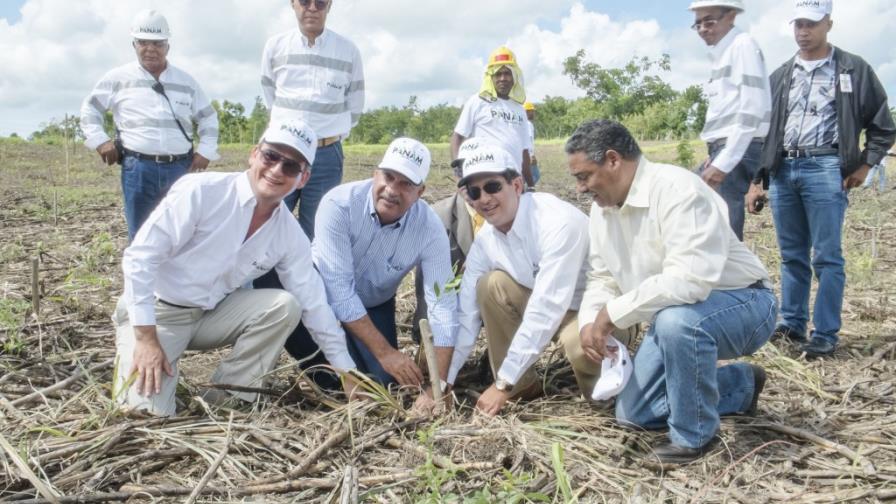 Cemento Panam inaugura proyecto de biomasa forestal Cemento Panam inaugura proyecto de biomasa forestal