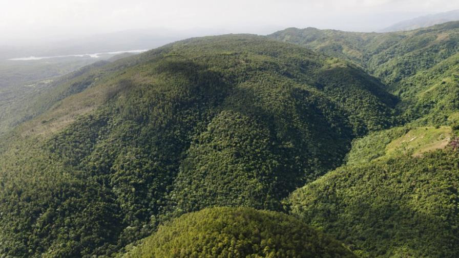 PNUD dice Gobierno es cauto ante Loma Miranda