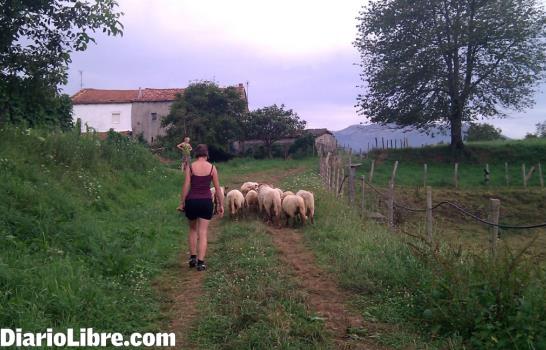 Wwoofers, la tribu verde