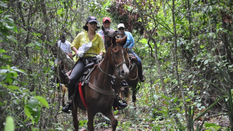 Vargas y Pimentel triunfan en Rally 2013 del Equi-Club