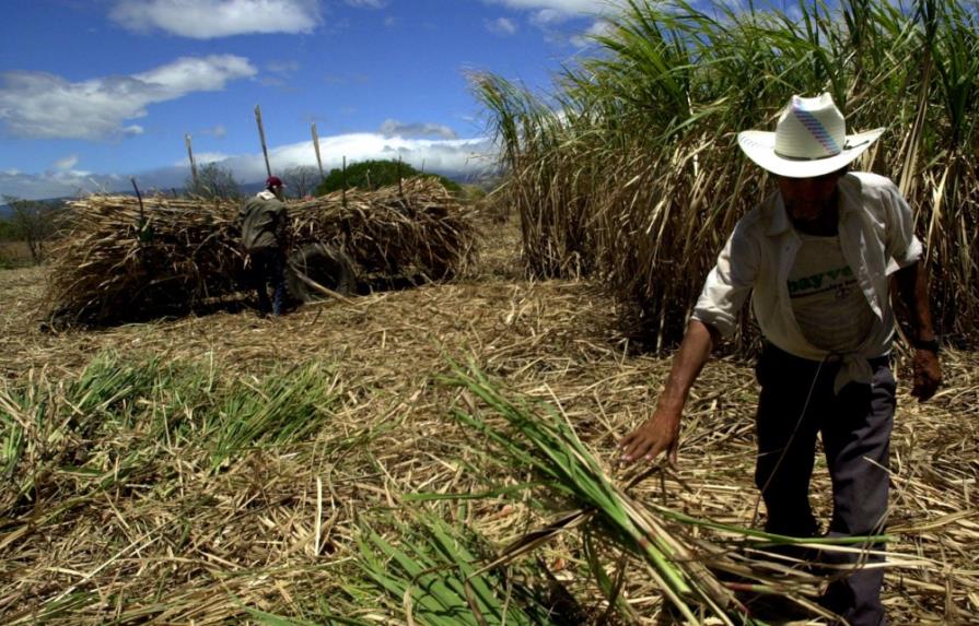 La industria azucarera de la República Dominicana rechaza el informe de los Estados Unidos