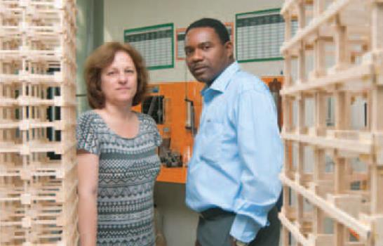 Estudio desarrollaría método para estudiar confiabilidad estructural de puentes en el país