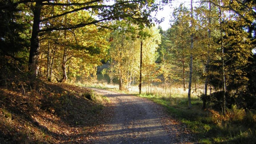 Las estaciones del año y de la vida