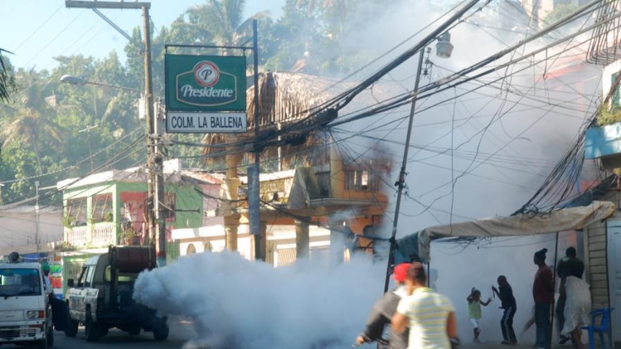 Fumigación no elimina criaderos chikungunya