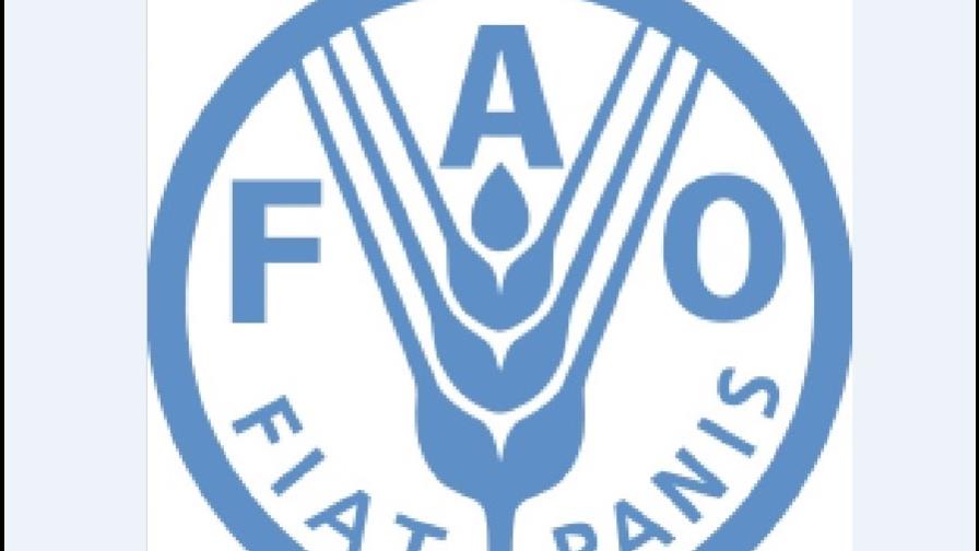 FAO publica lista de parásitos en alimentos y consejos para prevenir contagio
