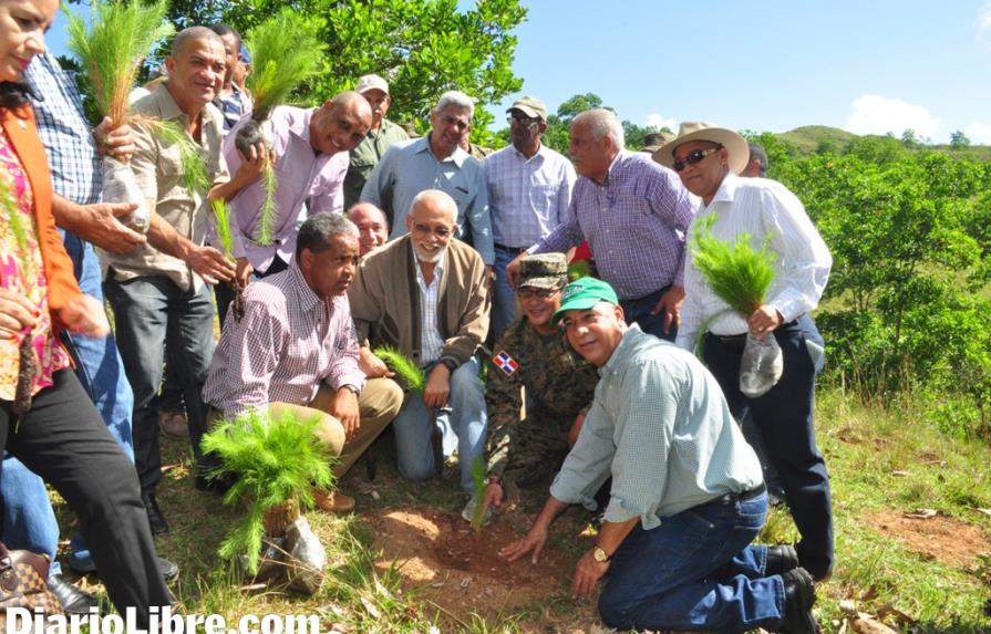 Medio Ambiente lanza una jornada por el “Mes de la Reforestación”