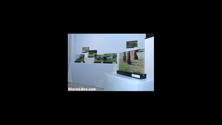 ArteClub de la Asociación Dominicana de Rehabilitación inauguró una colectiva fotográfica