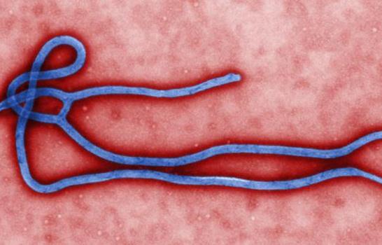 El ébola avanza más rápido que los esfuerzos para controlarlo