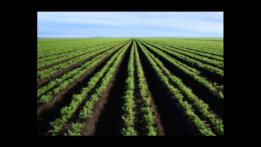 Especialistas discuten en México iniciativas de adaptación a cambio climático