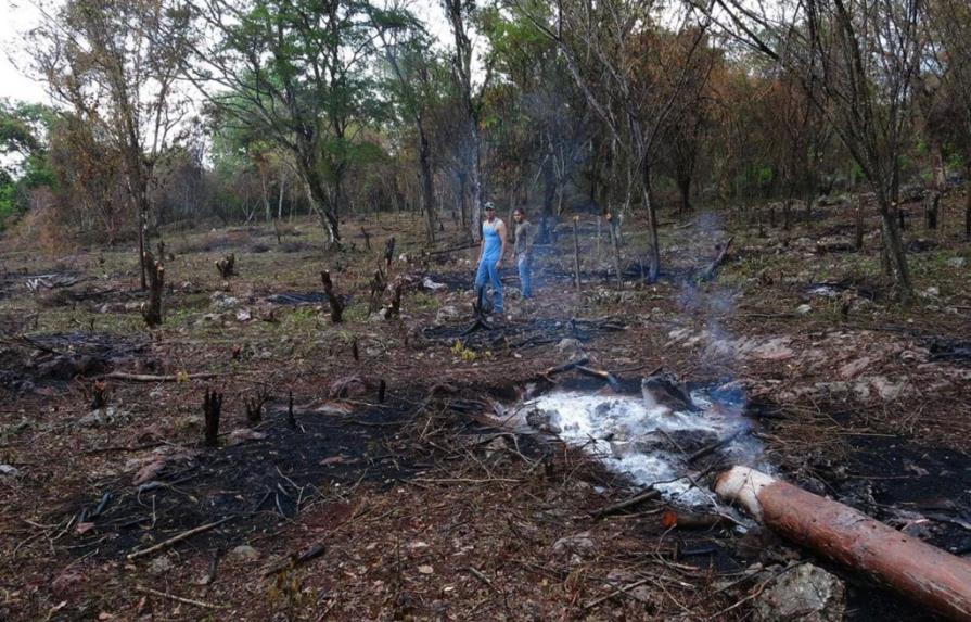 Medio Ambiente destituye director provincial de Pedernales tras quema de tareas