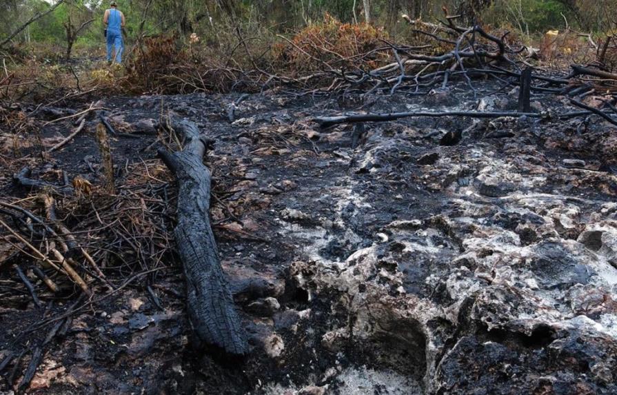 Medio Ambiente destituye al director provincial Pedernales tras la quema de terrenos