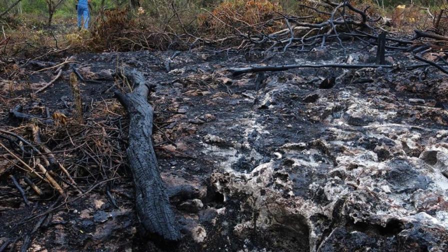 Medio Ambiente destituye al director provincial Pedernales tras la quema de terrenos Medio Ambiente destituye al director provincial Pedernales tras la quema de terrenos