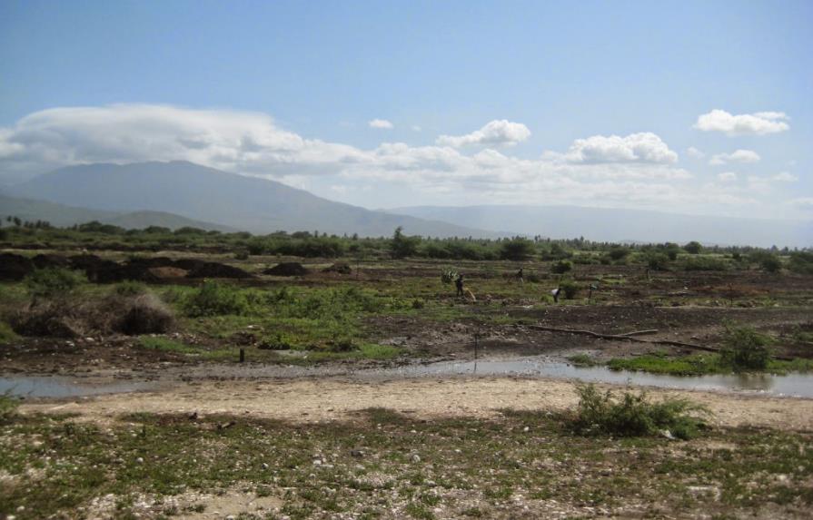 Denuncian ilegales haitianos ocupan terrenos del CEA en Batey Algodón