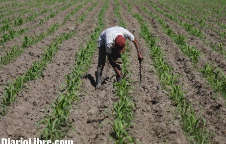 La FAO llama a preservar mayores reservas de tierra cultivable AL