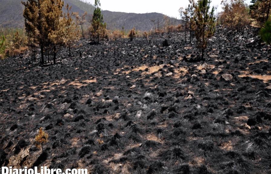 La Fundación Moscoso Puello dice que el fuego en Valle Nuevo afectó 85 mil tareas