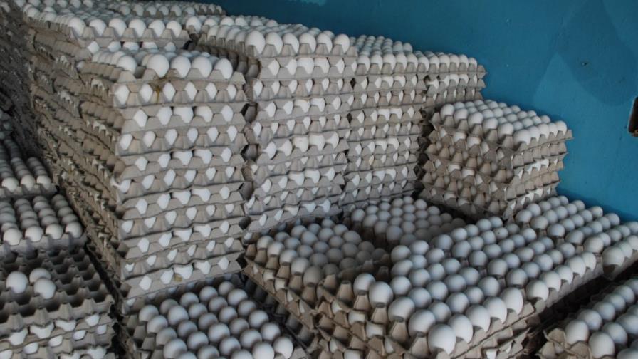 Precios de los huevos suben; otros productos permanecen estables Precios de los huevos suben; otros productos permanecen estables