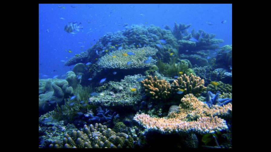 Australia busca expandir los puertos cerca de la Gran Barrera de Coral