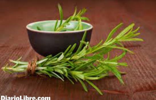 Aromas que sanan: guía de las hierbas saludables Aromas que sanan: guía de las hierbas saludables