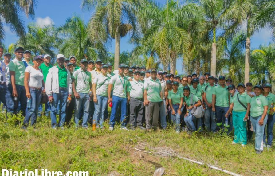 ETED realiza una jornada de reforestación en Monte Plata