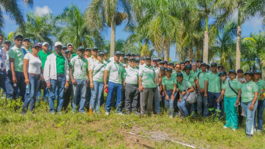 ETED realiza una jornada de reforestación en Monte Plata