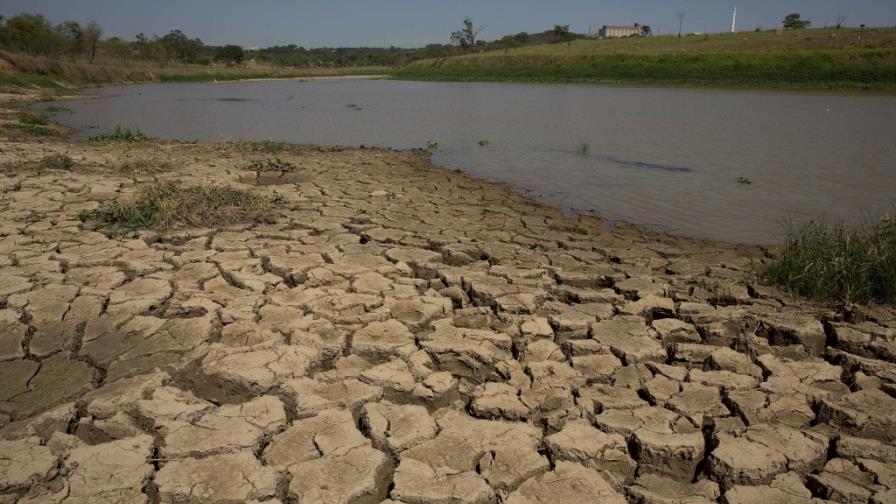 La deforestación puede ser el origen de la sequía en Brasil La deforestación puede ser el origen de la sequía en Brasil