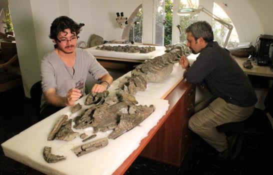 Investigadores chilenos descubren un nuevo tipo de plesiosaurio