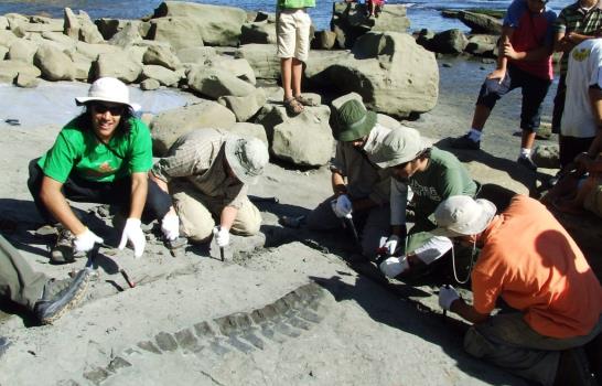 Investigadores chilenos descubren un nuevo tipo de plesiosaurio