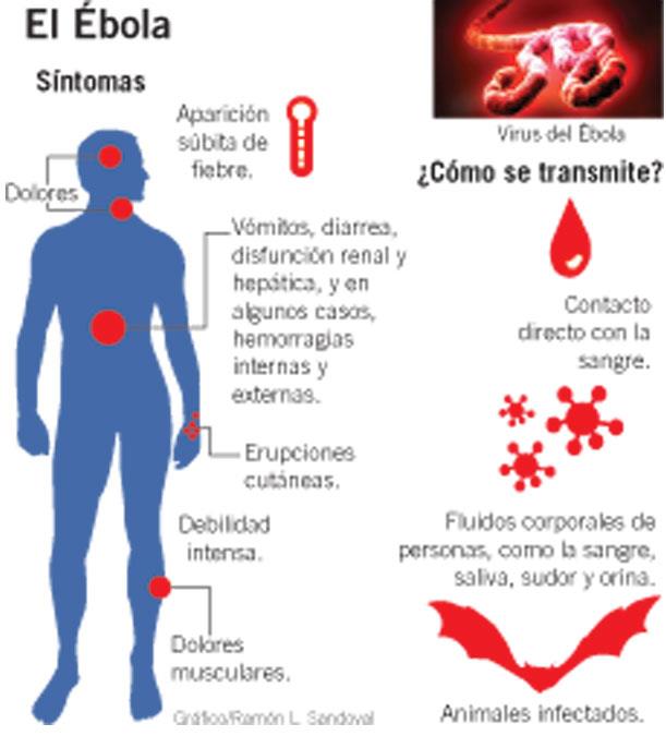 Cómo se transmite el ébola y cuáles son sus síntomas