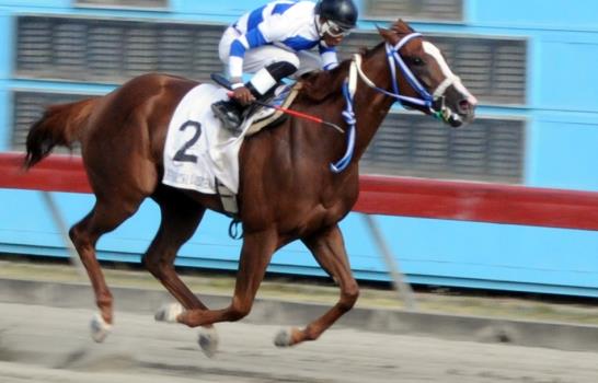 Belleza ganó fácil en la jornada del sábado en el hipódromo V Centenario