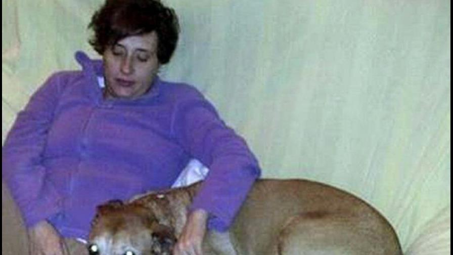 Piden no sacrificar al perro de enferma de ébola en España