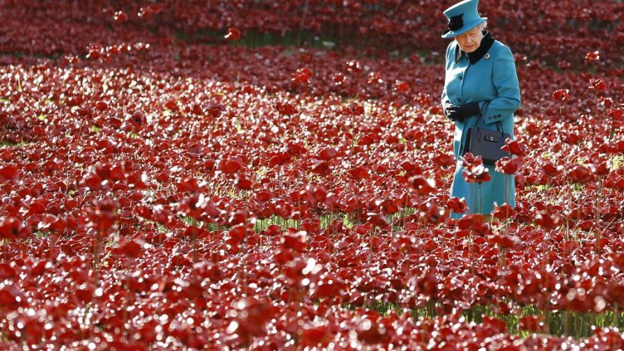 Amapolas conmemoran fin de Primera Guerra Mundial