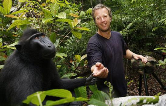 Selfies de monos crean disputa de copyright