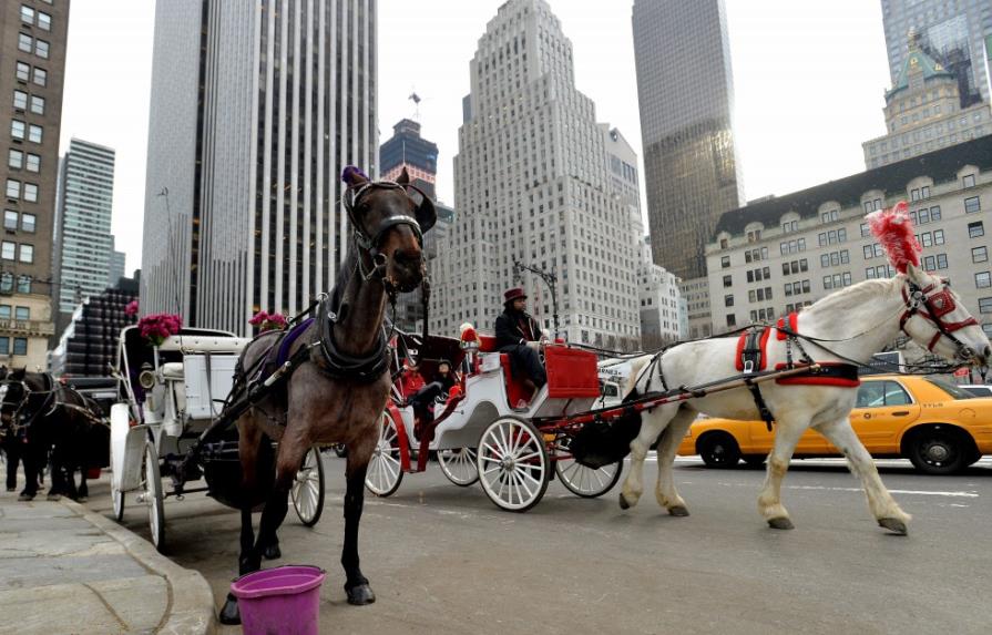 Nueva York propone prohibir los carruajes de caballos en la ciudad