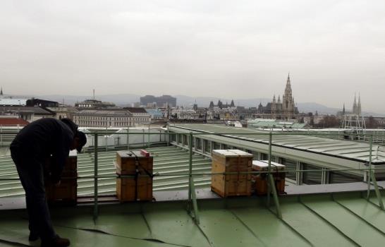 Viena se convierte en un refugio urbano para la supervivencia de las abejas