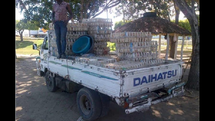 Detienen ocho personas que traficaban pollos hacia Haití