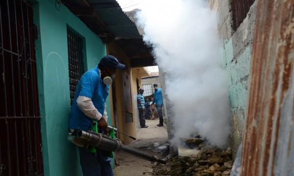 Los industriales piden se dupliquen esfuerzos contra la chikungunya
