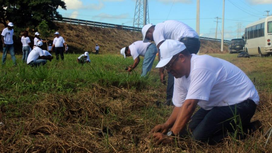 CAEI realiza una siembra de 1,000 árboles de cedro y de caoba
