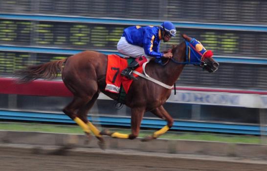 Widia gana la estelar en una tarde de Luís Jiménez en el hipódromo V Centenario