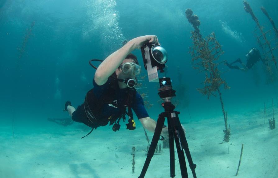 Toman vistas en 360 de arrecifes y vida submarina