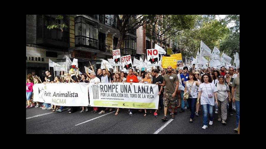 Miles protestan contra evento taurino en España