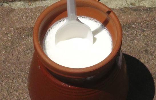 El yogur búlgaro: un elixir de longevidad y milagro dietético