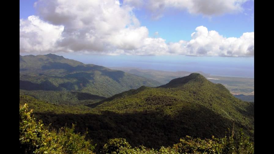 Puerto Rico: lluvias causan daños por seis millones de dólares en Bosque Nacional del Yunque