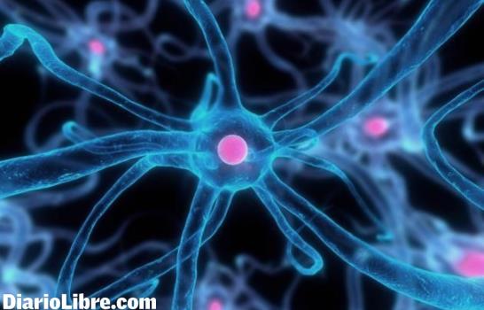 “Quiero poner a la República Dominicana en el mapa mundial de las células madres”