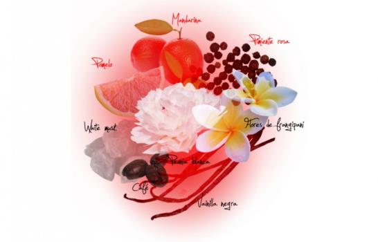 El arte de crear fragancias