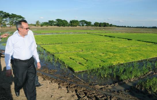 Agricultura asegura uso de tecnología revolucionará siembra de arroz
