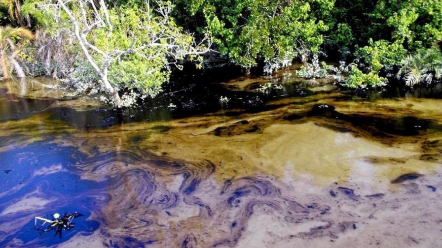 Bangladesh trabaja para evitar desastre ecológico en mayor manglar del mundo Bangladesh trabaja para evitar desastre ecológico en mayor manglar del mundo