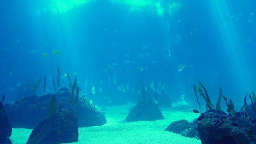 Cumbre Nuestro Océano se propone trazar un plan global para cuidar mares