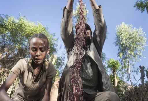 La FAO dice que en el país se pierden 965 millones de calorías en venta al detalle