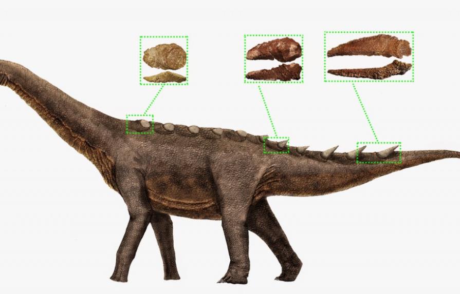 Fósiles hallados en España reconstruyen armadura de último dinosaurio gigante