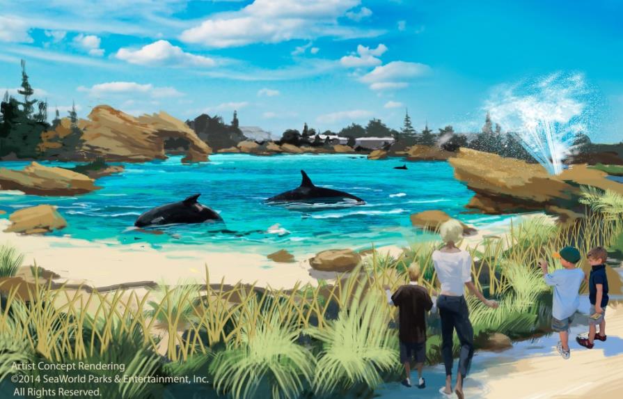 SeaWorld anuncia ampliación de los hábitats para orcas en sus parques